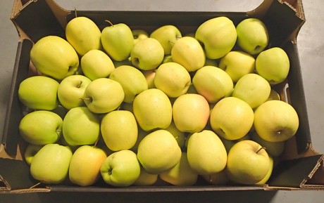 قارچ کاپورینو میوه؟ راهنمایی برای خرید سیب زرد ارگانیک با قیمت مناسب