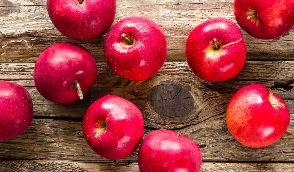 فروشگاه میوه و سبزیجات زیستشناسی