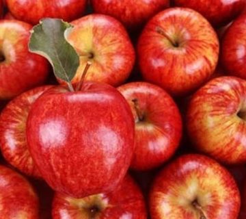 فروش عمده و خرده سیب قرمز با قیمت مناسب