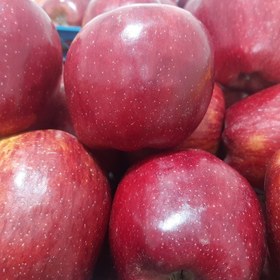  فروش ویژه: خرید سیب قرمز باکیفیت با تخفیف ویژه در قیمت.