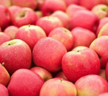 قیمت سیب درختی قرمز صادراتی در میدان تره بار ایران