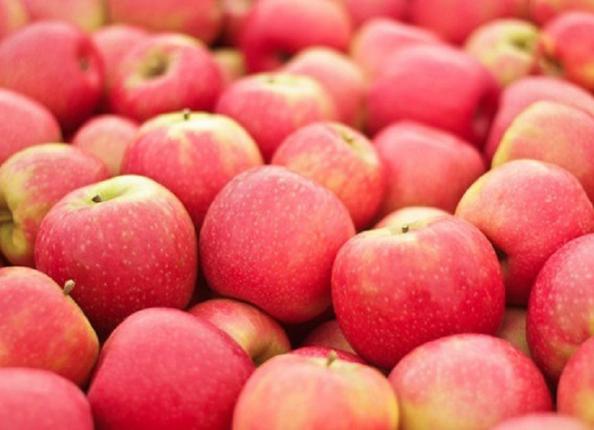 قیمت سیب درختی قرمز صادراتی در میدان تره بار ایران