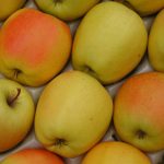 منبع غنی ویتامین C: سیب زرد، انرژی و سلامتی در یک میوه