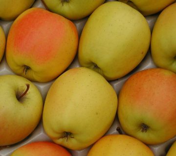 منبع غنی ویتامین C: سیب زرد، انرژی و سلامتی در یک میوه