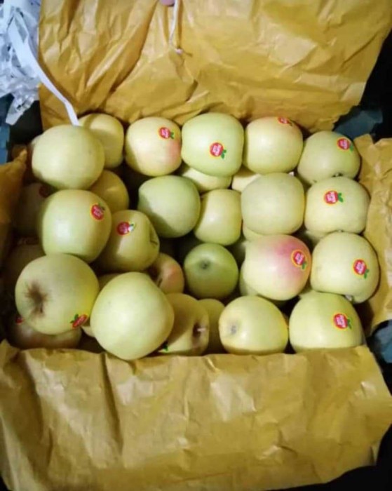 روند قیمت‌گذاری سیب زرد در بازارهای عمده‌فروشی