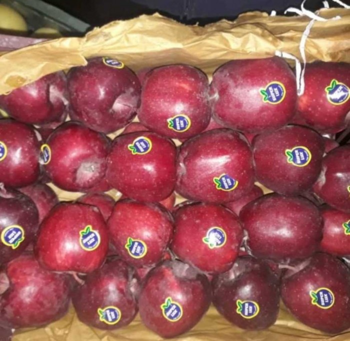 سیب قرمز ارگانیک و بدون استفاده از سموم شیمیایی