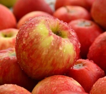 خریدوقیمت سیب قرمز صادراتی