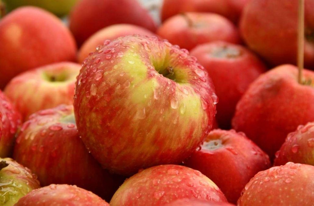 خریدوقیمت سیب قرمز صادراتی