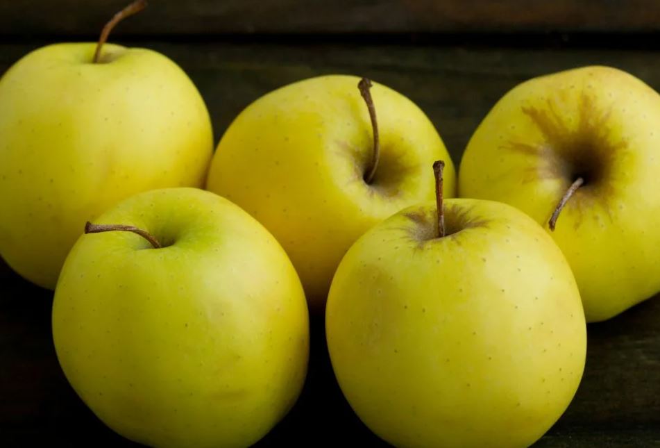 عشق به طعم تازگی: ارائه بهترین سیب زرد با کیفیت عالی