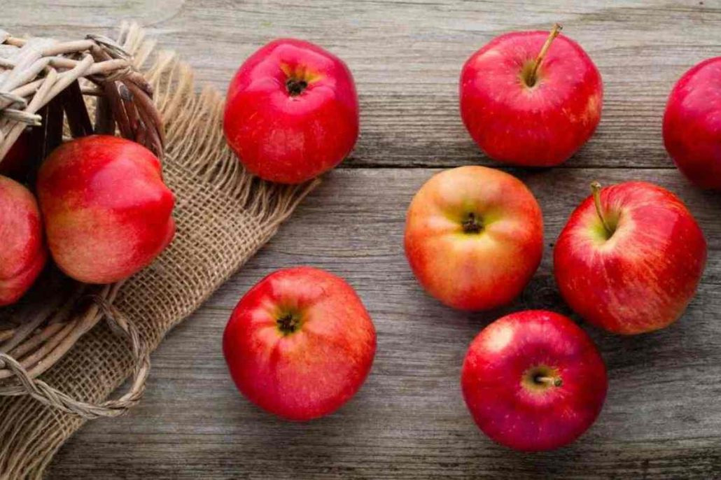 بازار محلی و میوه فروشیها