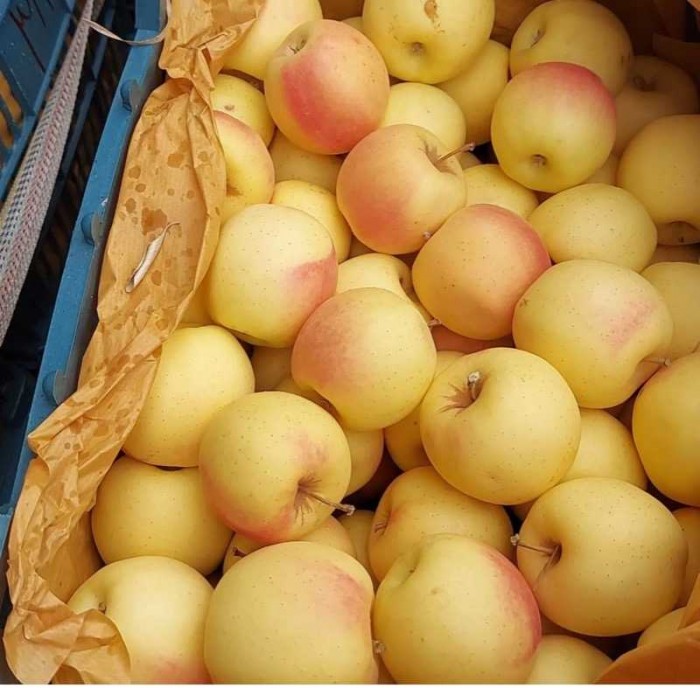 مراجعه به بازارها و نمایشگاهها