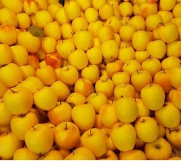 خرید و فروش سیب و زرد صادراتی