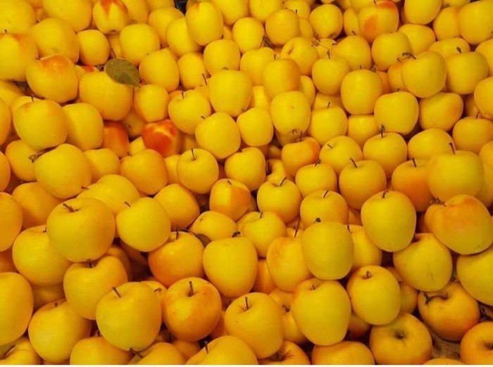 خرید و فروش سیب و زرد صادراتی