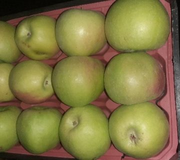 سیب گلاب نهاوند بدون استفاده از سم های شیمیایی