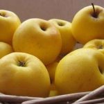 قیمت و خرید سیب زرد درجه یک