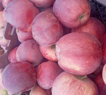 فروش سیب قرمز استخوانی با ارسال رایگان به نقاط کشور